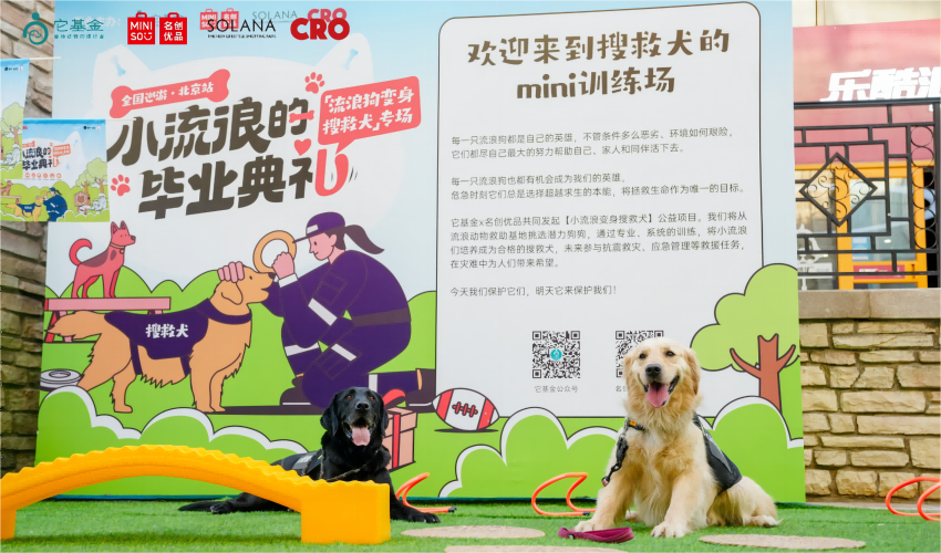 名創優品推出國內首例
“流浪狗變身搜救犬”公益項目